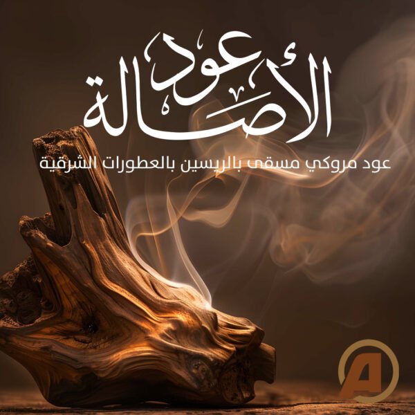 عود الأصالة من الفرسان